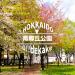 南郷丘公園　【札幌　白石区】